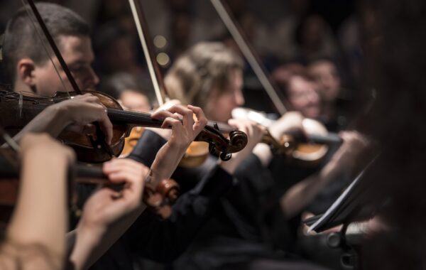 Violinenspieler in einem Orchester